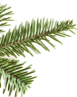 Balsam Hill Alpine Balsam Fir Trees Best