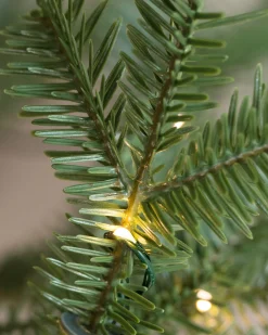 Balsam Hill Alpine Balsam Fir Trees Best