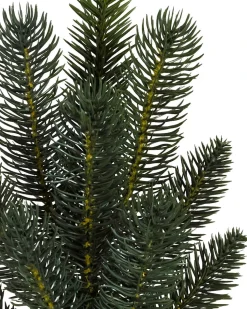 Balsam Hill Aspen Estate Fir® ReNEW™ Online