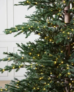 Balsam Hill Aspen Silver Fir® ReNEW™ Outlet