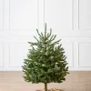 Balsam Hill Baby Nordmann Artificial Tabletop Christmas Trees New