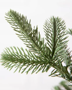 Balsam Hill Baby Nordmann Artificial Tabletop Christmas Trees New
