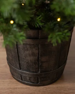 Balsam Hill Baby Yukon Spruce® Potted Trees Clearance
