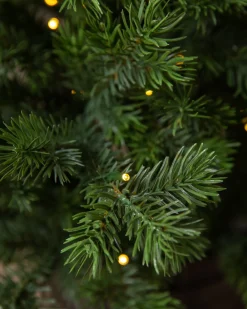 Balsam Hill Baby Yukon Spruce® Potted Trees Clearance