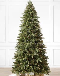 Balsam Hill Bellevue Spruce Trees New