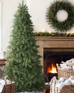 Balsam Hill Bellevue Spruce Trees New