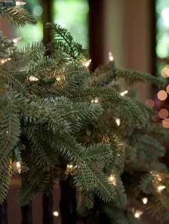 Balsam Hill Berkshire Mountain Fir® Foliage Hot