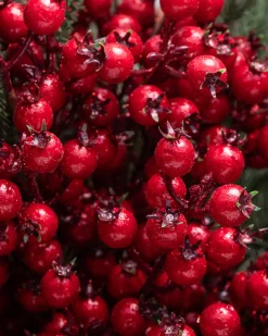 Balsam Hill Berry Bouquet Christmas Tree Topper Discount