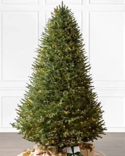 Balsam Hill BH Balsam Fir® ReNEW™