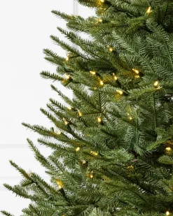 Balsam Hill BH Balsam Fir® ReNEW™