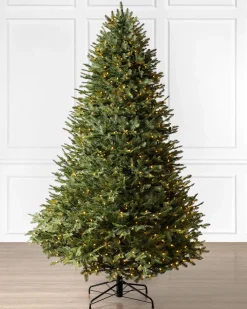 Balsam Hill BH Balsam Fir® ReNEW™