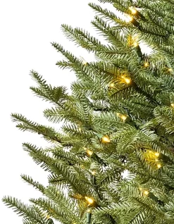 Balsam Hill BH Balsam Fir® ReNEW™