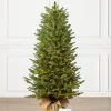 Balsam Hill BH Balsam Fir Tabletop Best