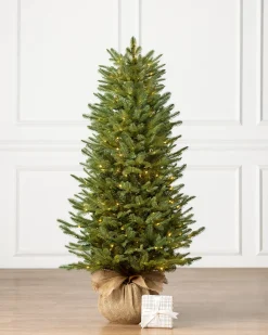 Balsam Hill BH Balsam Fir Tabletop Best