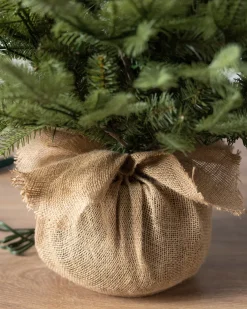 Balsam Hill BH Balsam Fir Tabletop Best
