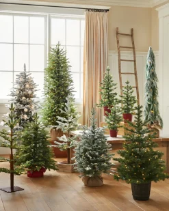 Balsam Hill BH Balsam Fir Tabletop Best