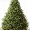 Balsam Hill BH Balsam Fir® Trees Online