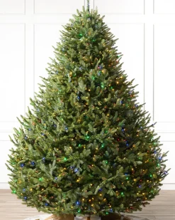 Balsam Hill BH Balsam Fir® Trees Online