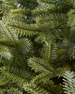 Balsam Hill BH Balsam Fir® Trees Online