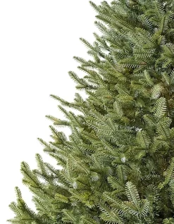 Balsam Hill BH Balsam Fir® Trees Online