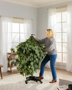 Balsam Hill BH Blue Spruce Trees New