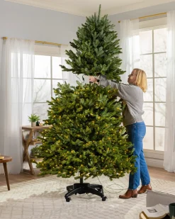 Balsam Hill BH Blue Spruce Trees New