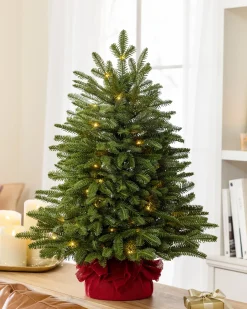 Balsam Hill BH Fraser Fir® Tabletop Tree Hot