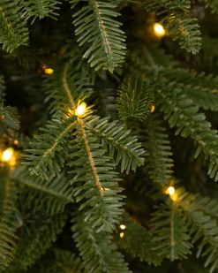 Balsam Hill BH Fraser Fir® Tabletop Tree Hot