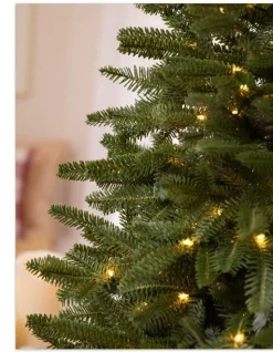 Balsam Hill BH Fraser Fir® Tabletop Tree Hot
