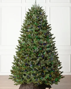 Balsam Hill BH Fraser Fir Trees Discount