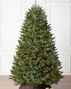 Balsam Hill BH Fraser Fir Trees Discount