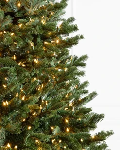 Balsam Hill BH Fraser Fir Trees Discount