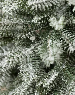 Balsam Hill BH Frosted Balsam Fir® Tabletop Trees Clearance