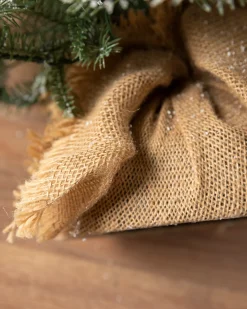 Balsam Hill BH Frosted Balsam Fir® Tabletop Trees Clearance