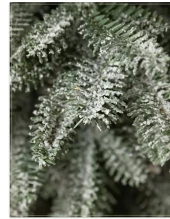 Balsam Hill BH Frosted Balsam Fir® Tabletop Trees Clearance