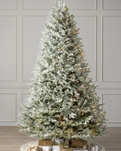 Balsam Hill BH Frosted Balsam Fir Trees Sale