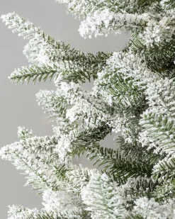 Balsam Hill BH Frosted Balsam Fir Trees Sale