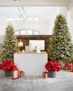 Balsam Hill BH Frosted Balsam Fir Trees Sale