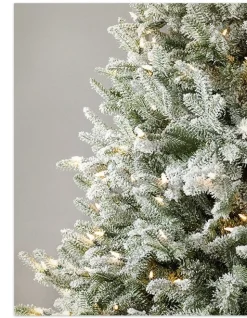 Balsam Hill BH Frosted Balsam Fir Trees Sale