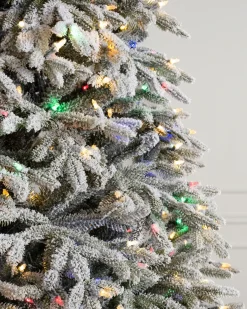 Balsam Hill BH Frosted Fraser Fir® Trees Discount