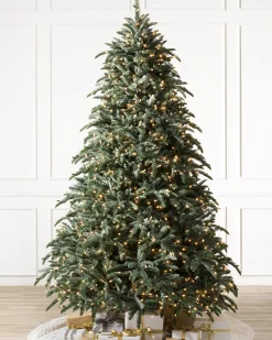 Balsam Hill BH Noble Fir® Trees