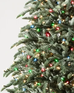 Balsam Hill BH Noble Fir® Trees