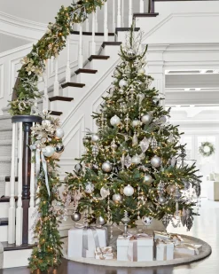 Balsam Hill BH Nordmann Fir Trees Online