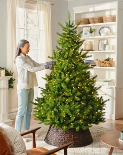 Balsam Hill BH Nordmann Fir Trees Online
