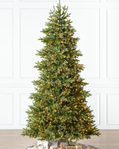 Balsam Hill BH Norway Spruce Trees Online