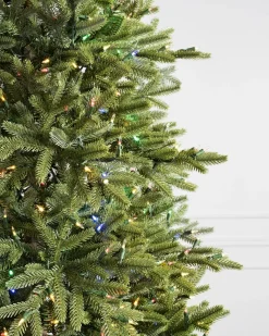 Balsam Hill BH Norway Spruce Trees Online