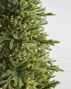 Balsam Hill BH Norway Spruce Trees Online