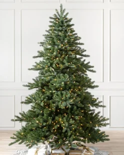 Balsam Hill Biltmore® Spruce Trees Outlet