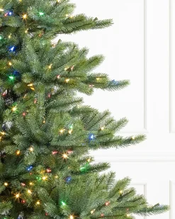 Balsam Hill Biltmore® Spruce Trees Outlet