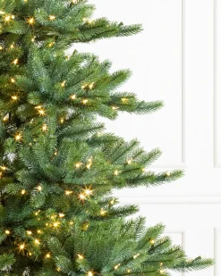 Balsam Hill Biltmore® Spruce Trees Outlet